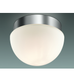 Светильник для ванной Odeon-light 2443/1A