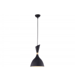 Подвесной светильник Lussole LSP-8150