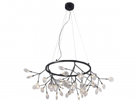 EVITA SP45 D BLACK-TRANSPARENT.jpg