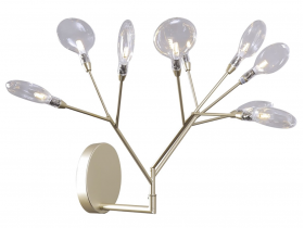 EVITA AP9 GOLD-TRANSPARENT.jpg