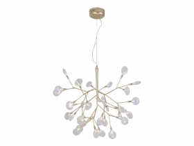 EVITA SP36 GOLD-TRANSPARENT.jpg