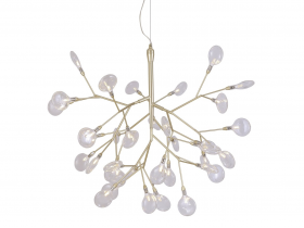 EVITA SP36 GOLD-TRANSPARENT_2.jpg