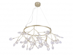EVITA SP45 D GOLD-TRANSPARENT.jpg