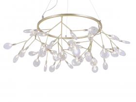 EVITA SP45 D GOLD-TRANSPARENT_2.jpg