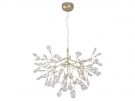EVITA SP63 GOLD-TRANSPARENT.jpg