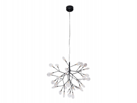 EVITA SP36 BLACK-TRANSPARENT_2.jpg