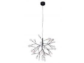 EVITA SP36 BLACK-TRANSPARENT_2.jpg