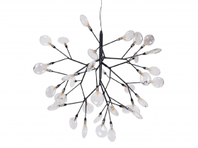 EVITA SP36 BLACK-TRANSPARENT.jpg