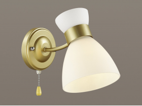 4535-1W D-on.jpg