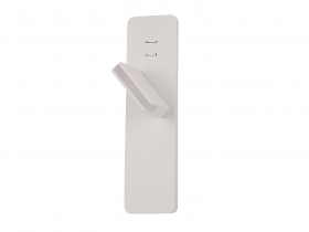 CLT 216W WH1).jpg