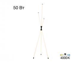 cl217961.jpg