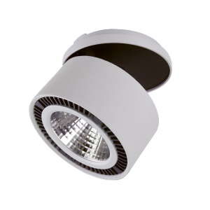 Точечный светильник Lightstar 214829