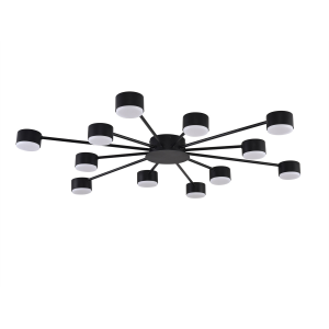 Люстра потолочная LUMION 8344/12C COMFI