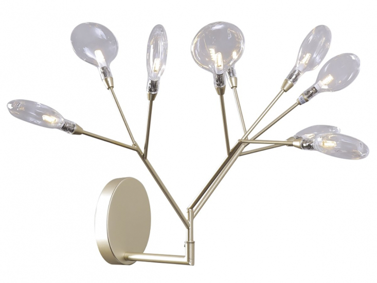 EVITA AP9 GOLD-TRANSPARENT.jpg