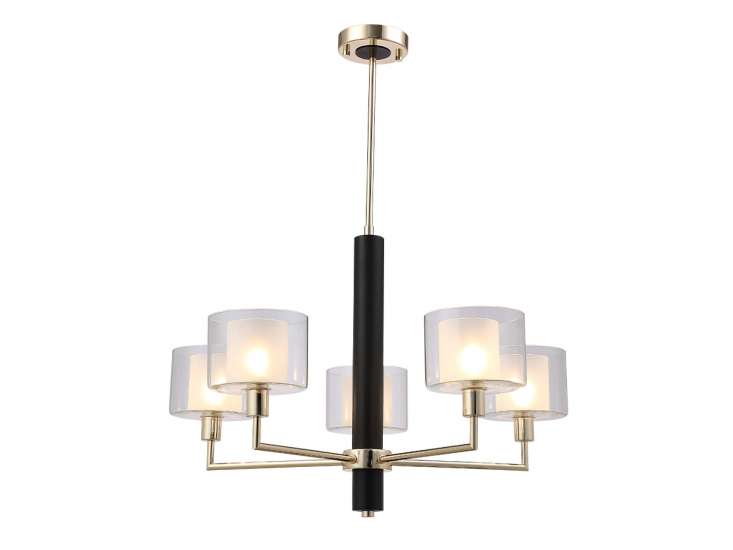 MAESTRO SP-PL5 GOLD.jpg