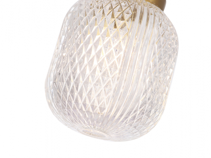 CAROLINA SP1 V2 BRAS-1.jpg